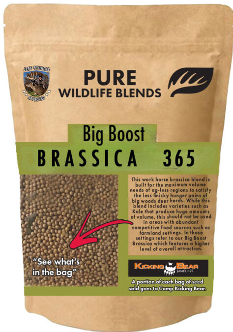 Big Boost Brassica 365